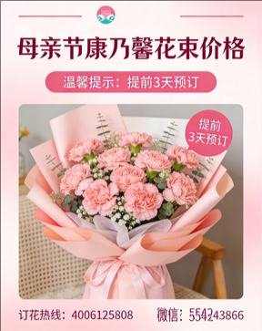 岳阳君山区花店母亲节康乃馨花束