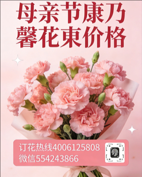 岳阳君山区花店母亲节康乃馨花束